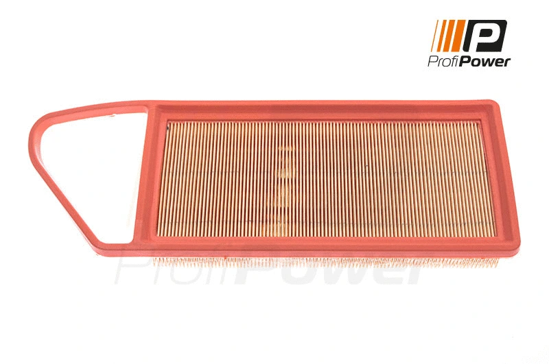 Oro filtras ProfiPower 2F0041