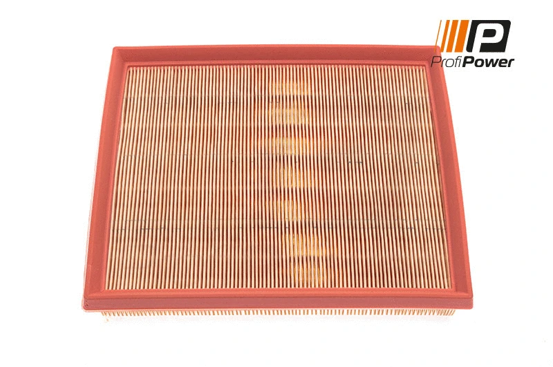 Oro filtras ProfiPower 2F0043