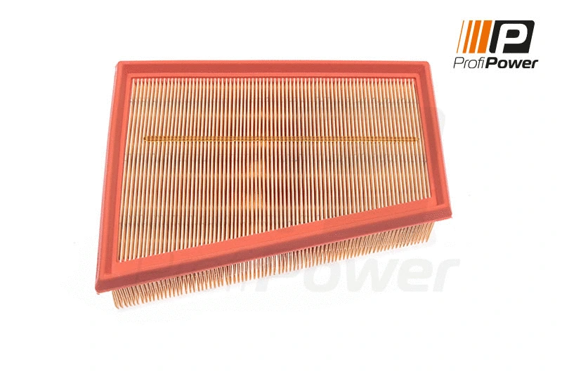Oro filtras ProfiPower 2F0045