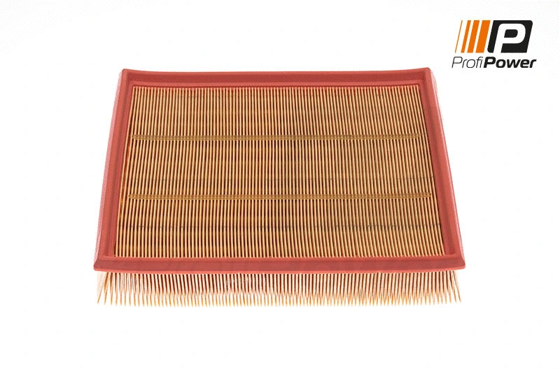 Oro filtras ProfiPower 2F0046