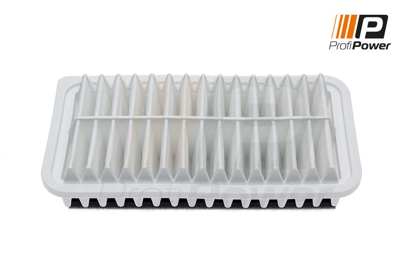Oro filtras ProfiPower 2F0050