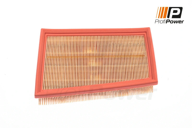 Oro filtras ProfiPower 2F0052