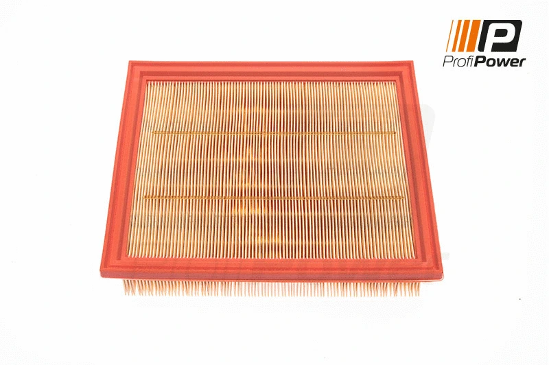 Oro filtras ProfiPower 2F0080