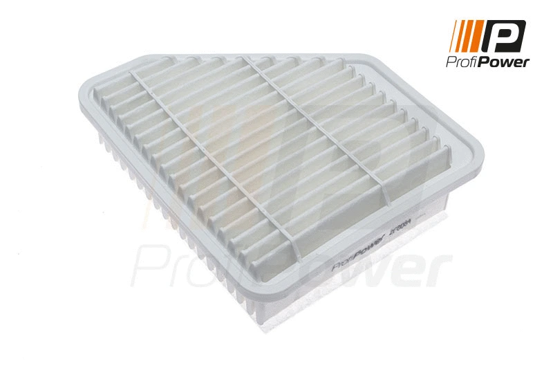 Oro filtras ProfiPower 2F0084