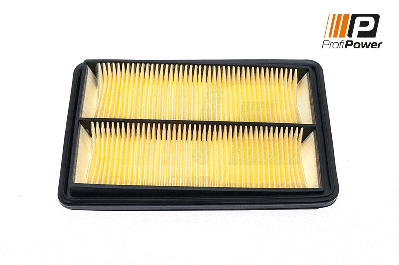 Oro filtras ProfiPower 2F0085