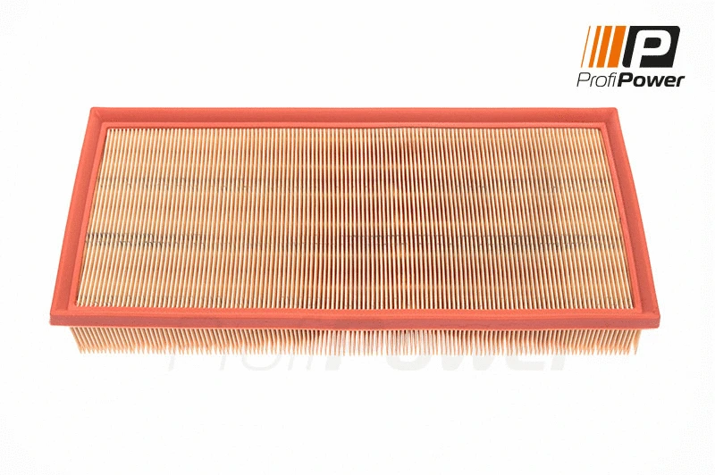Oro filtras ProfiPower 2F0087