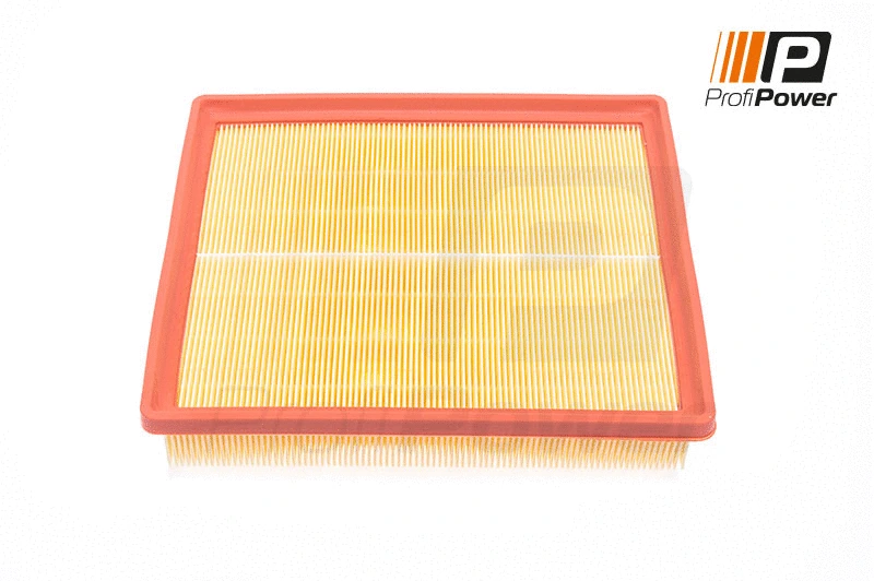 Oro filtras ProfiPower 2F0090
