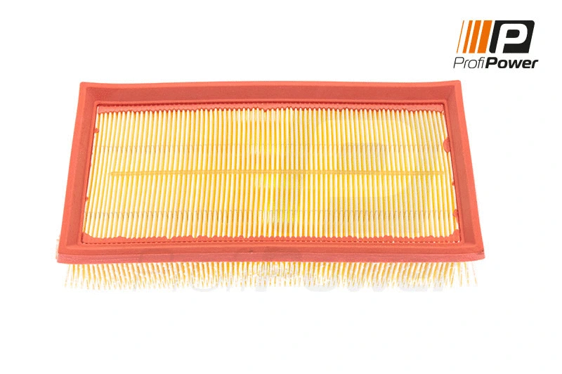 Oro filtras ProfiPower 2F0100