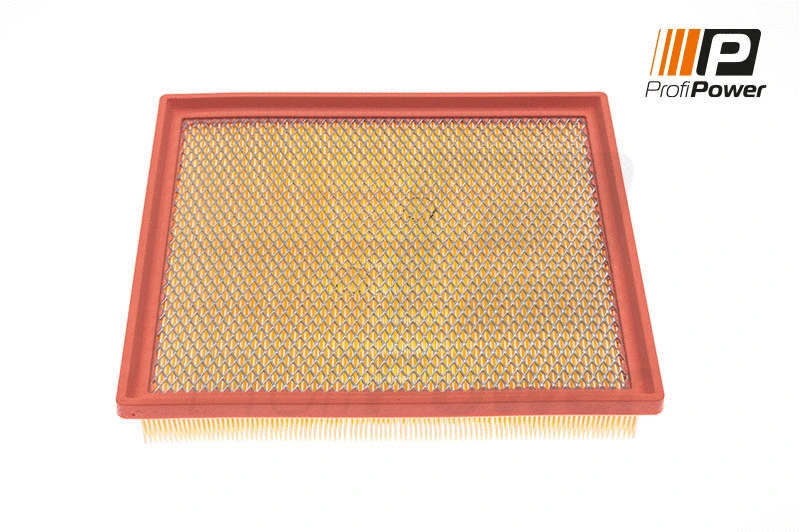 Oro filtras ProfiPower 2F0110