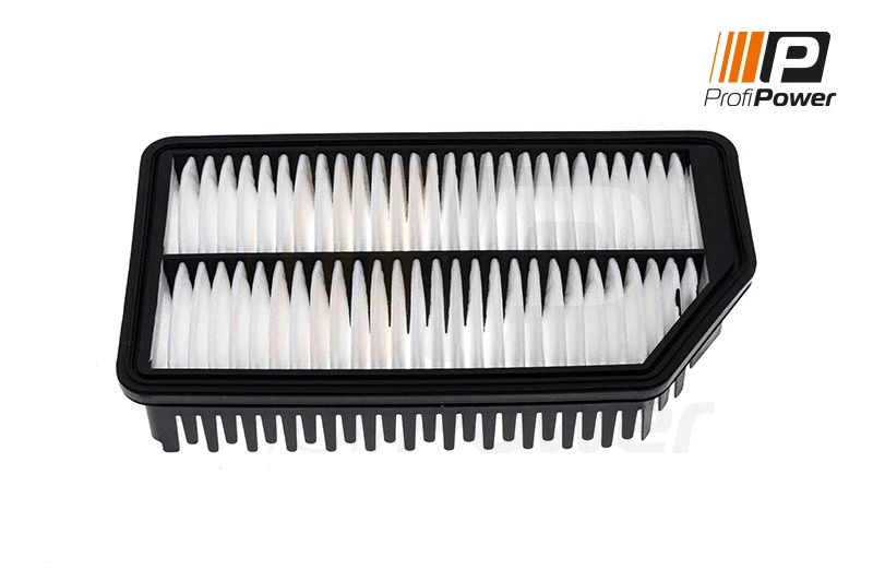 Oro filtras ProfiPower 2F0138