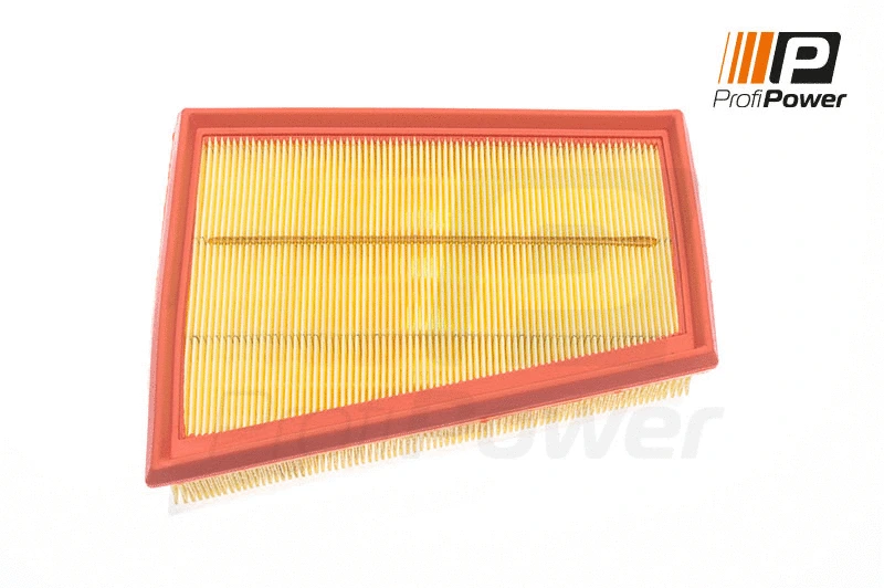 Oro filtras ProfiPower 2F0145