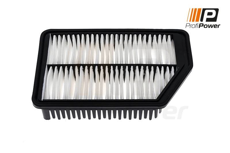 Oro filtras ProfiPower 2F0155