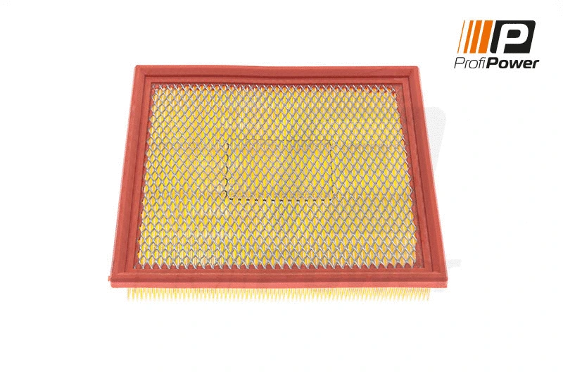 Oro filtras ProfiPower 2F0160