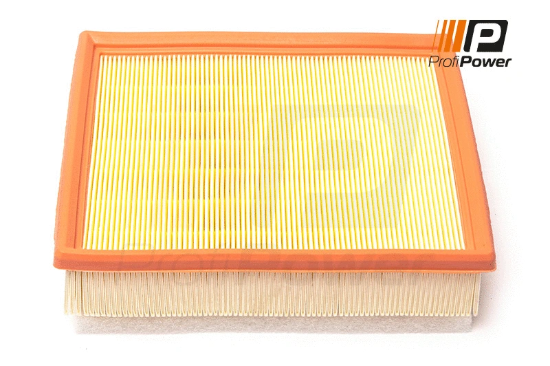 Oro filtras ProfiPower 2F0165