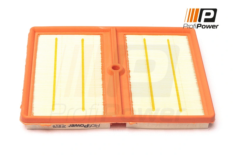 Oro filtras ProfiPower 2F0170