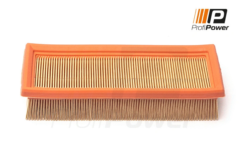Oro filtras ProfiPower 2F0171
