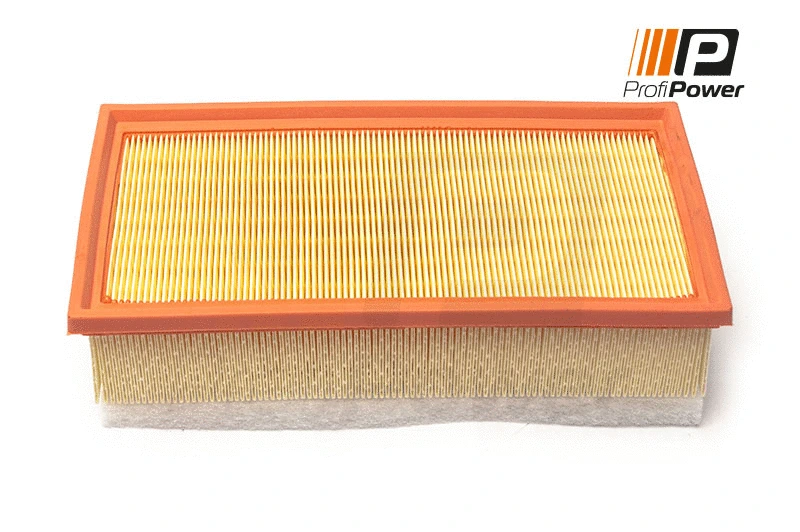 Oro filtras ProfiPower 2F0172
