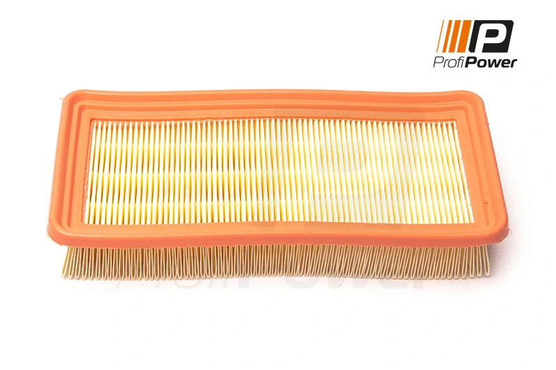 Oro filtras ProfiPower 2F0173