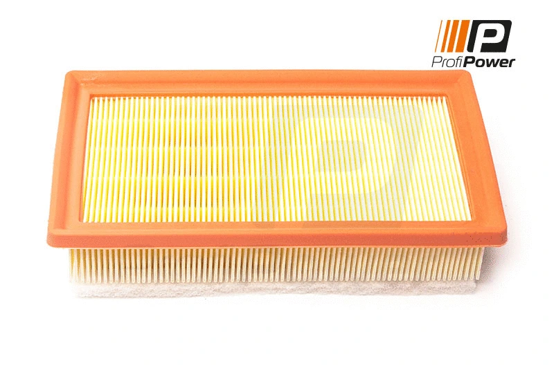Oro filtras ProfiPower 2F0194
