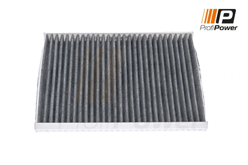 Salono filtras ProfiPower 4F0024C