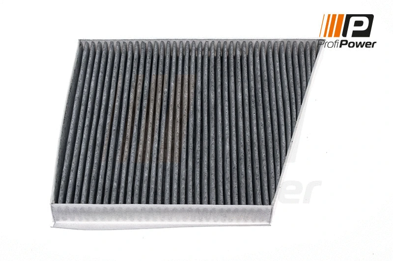 Salono filtras ProfiPower 4F0036C