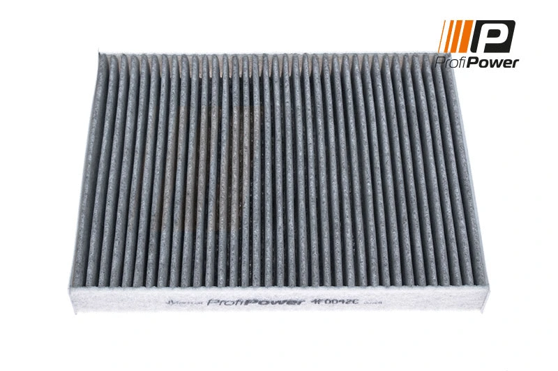 Salono filtras ProfiPower 4F0042C