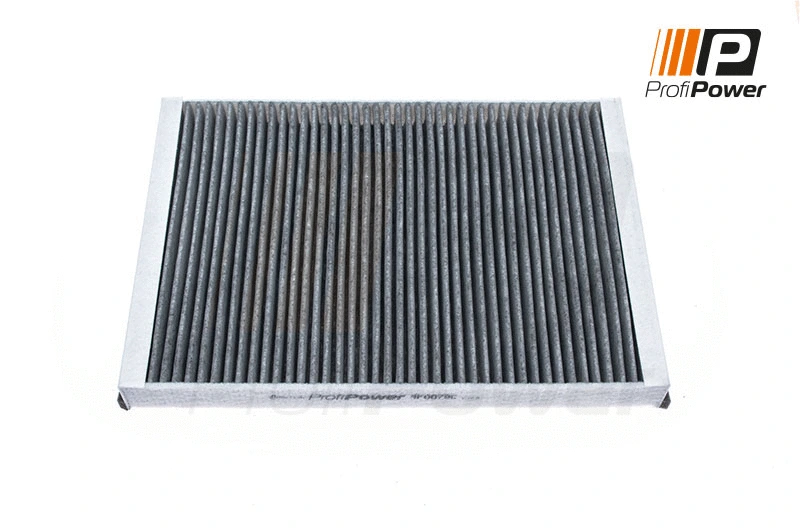 Salono filtras ProfiPower 4F0079C
