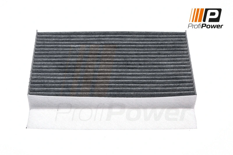 Salono filtras ProfiPower 4F0080C