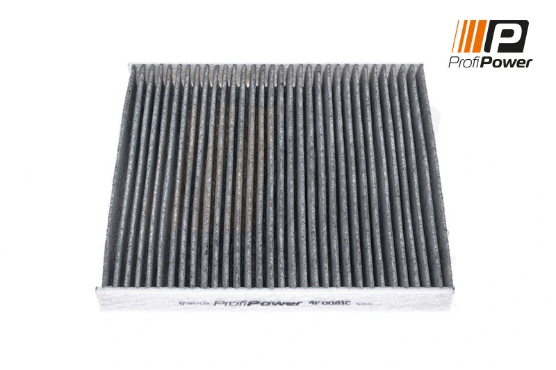Salono filtras ProfiPower 4F0081C