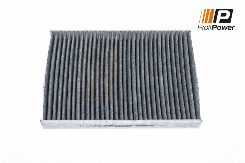 Salono filtras ProfiPower 4F0087C