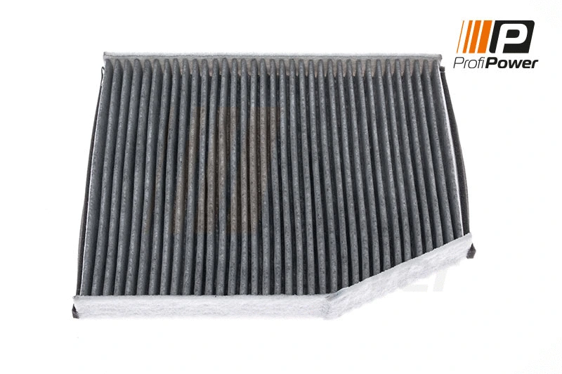 Salono filtras ProfiPower 4F0095C