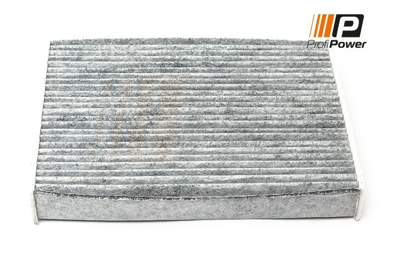 Salono filtras ProfiPower 4F0106C