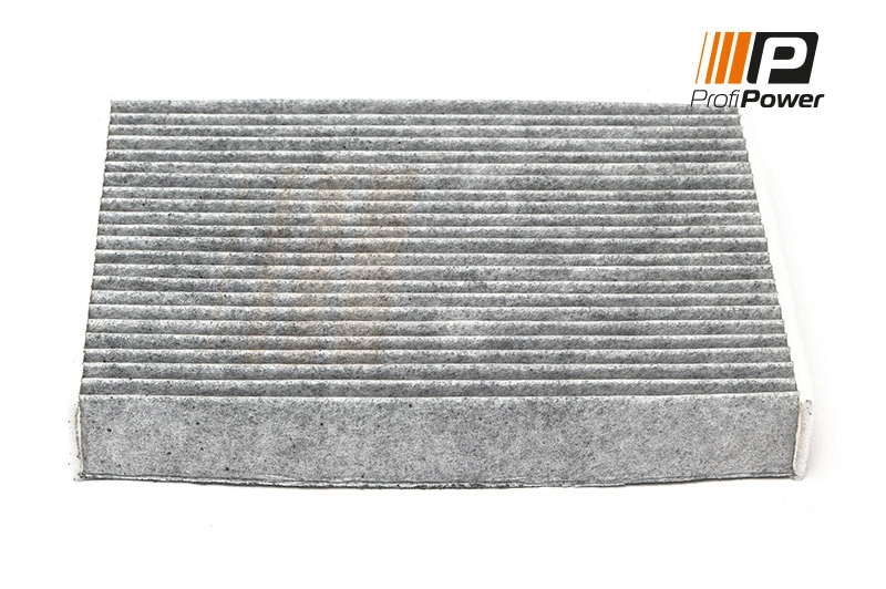 Salono filtras ProfiPower 4F0110C