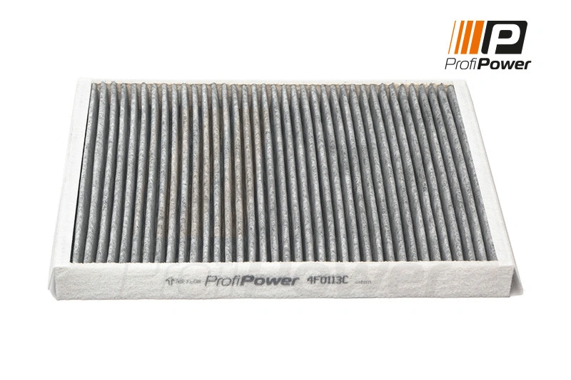 Salono filtras ProfiPower 4F0113C