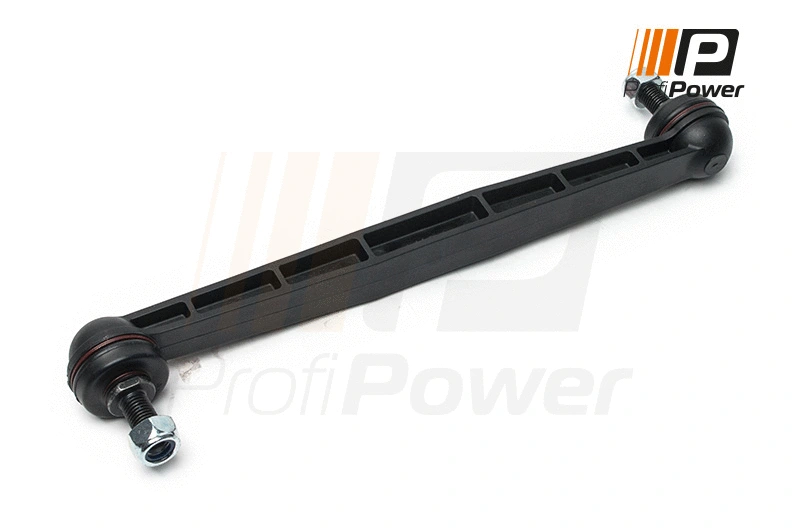 Šarnyro stabilizatorius ProfiPower 6S1108