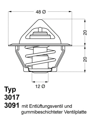 Termostatas BorgWarner (Wahler) 3017.92D50
