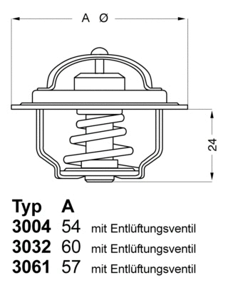 Termostatas BorgWarner (Wahler) 3032.88