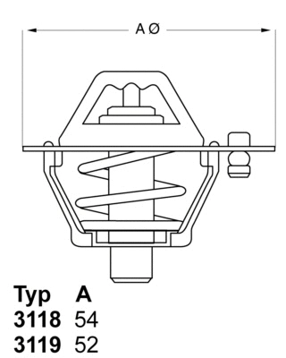 Termostatas BorgWarner (Wahler) 3119.82D3