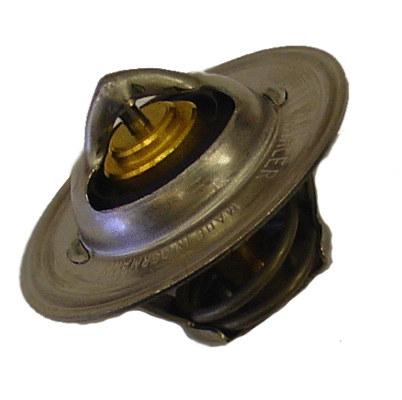 Termostatas BorgWarner (Wahler) 3167.83D