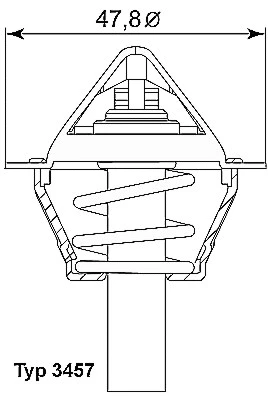 Termostatas BorgWarner (Wahler) 3457.90D