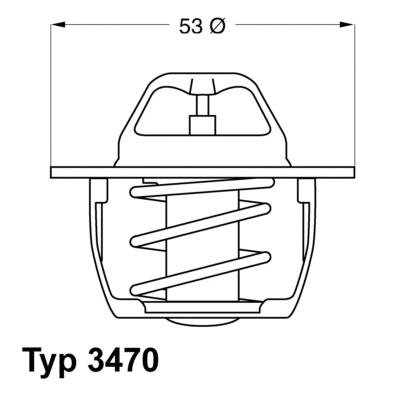 Termostatas BorgWarner (Wahler) 3470.89D50