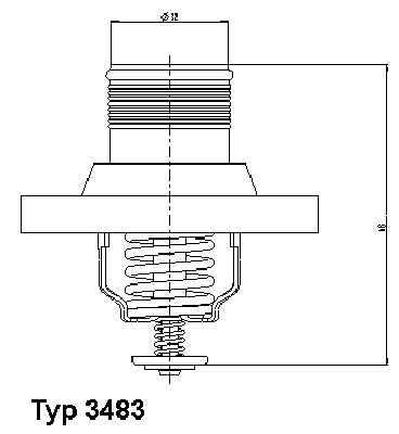Termostatas BorgWarner (Wahler) 3483.89D