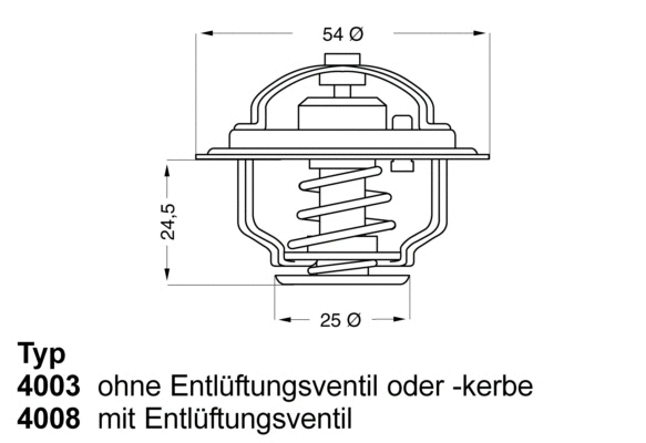 Termostatas BorgWarner (Wahler) 4008.74D