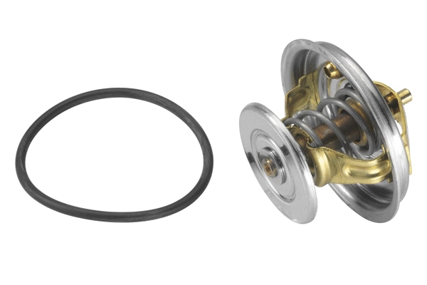 Termostatas BorgWarner (Wahler) 4078.79D