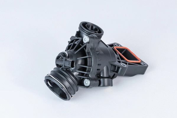 Termostatas BorgWarner (Wahler) 410390.103D