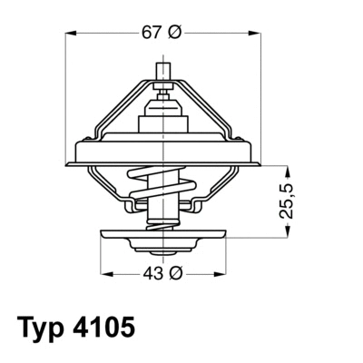 Termostatas BorgWarner (Wahler) 4105.83D