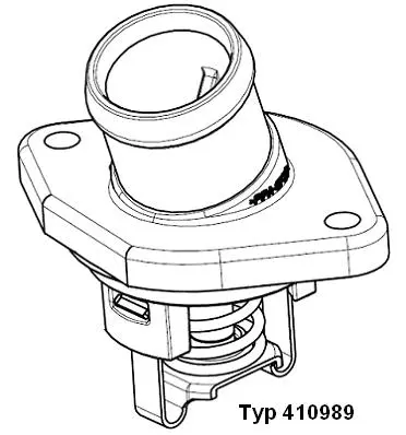 Termostatas BorgWarner (Wahler) 410989.80D