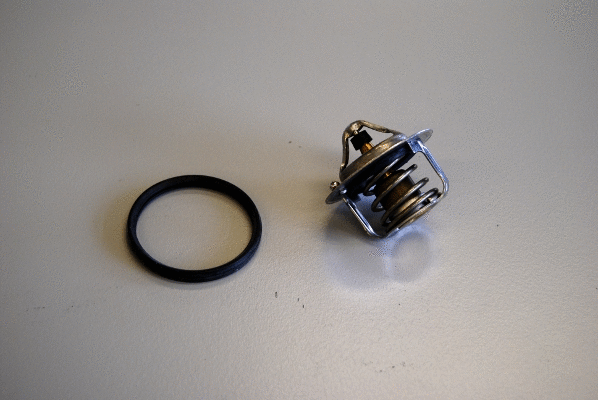 Termostatas BorgWarner (Wahler) 411241.82D