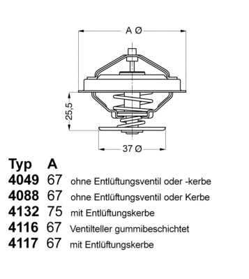 Termostatas BorgWarner (Wahler) 4116.87D1
