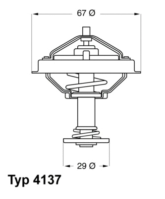 Termostatas BorgWarner (Wahler) 4137.80D